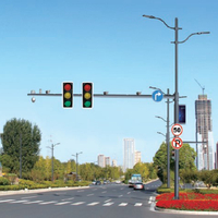Traffic Light Pole