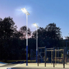 Solar Light